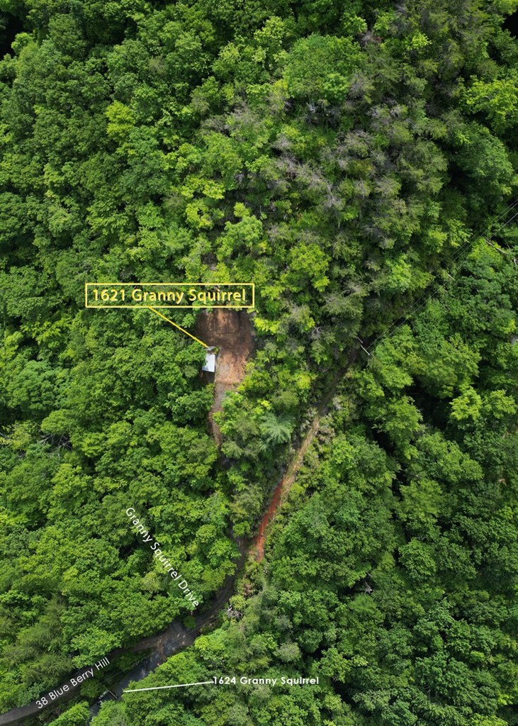 1621 Granny Squirrel Drive Property Photo 3