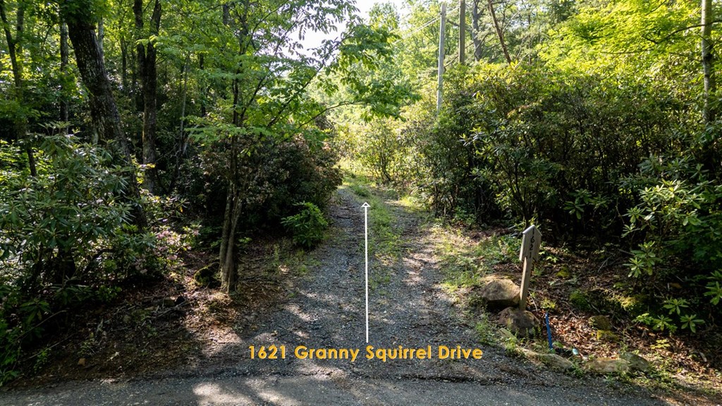 1621 Granny Squirrel Drive Property Photo 4