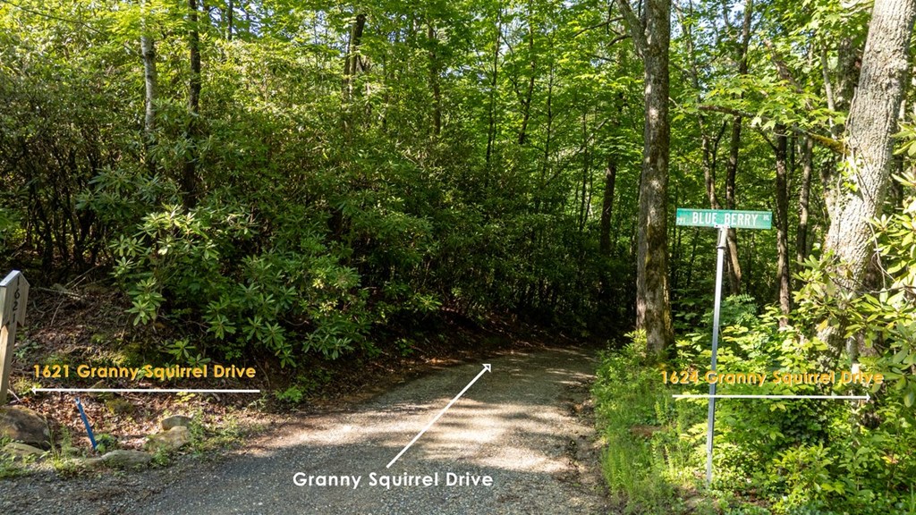 1621 Granny Squirrel Drive Property Photo 5