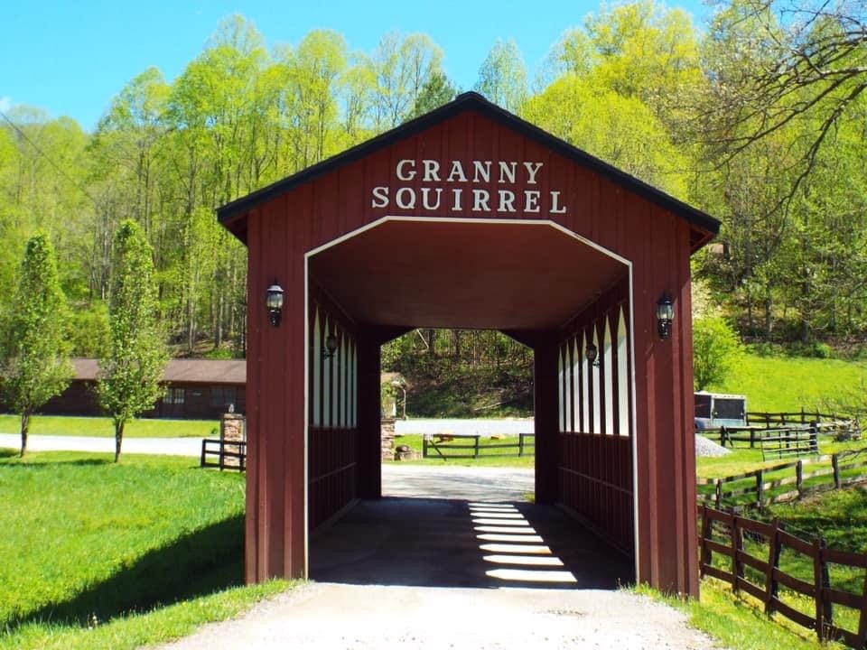 1621 Granny Squirrel Drive Property Photo 9