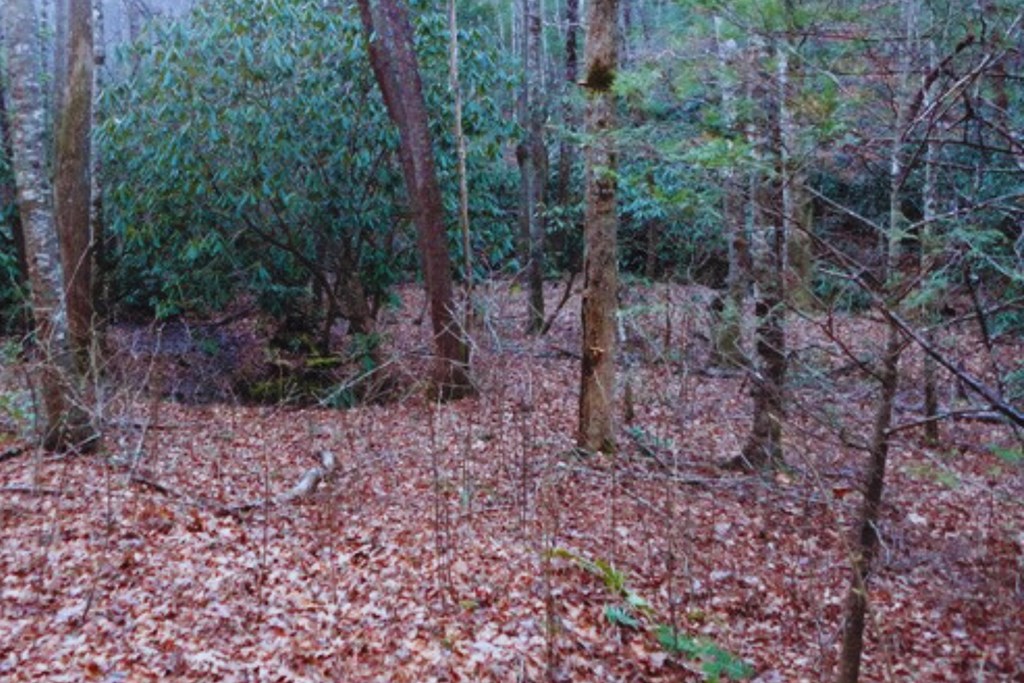 Lt 23 Shelton Springs S/d Property Photo 5