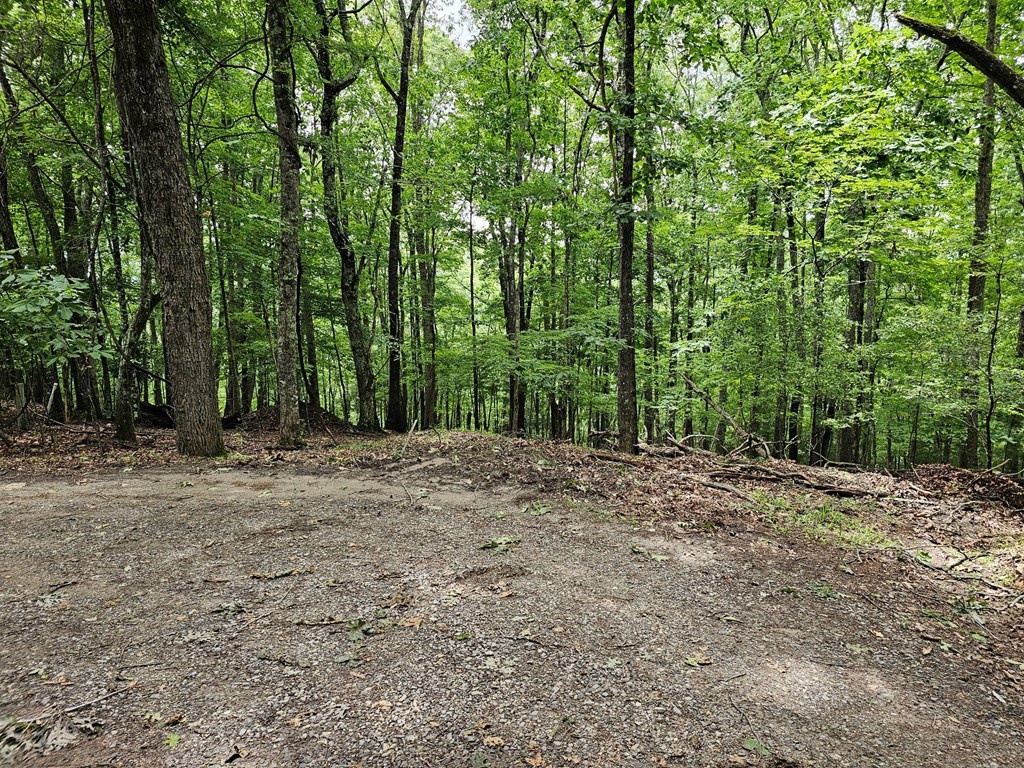 Lot 13-b Mountain Top Drive Property Photo 2