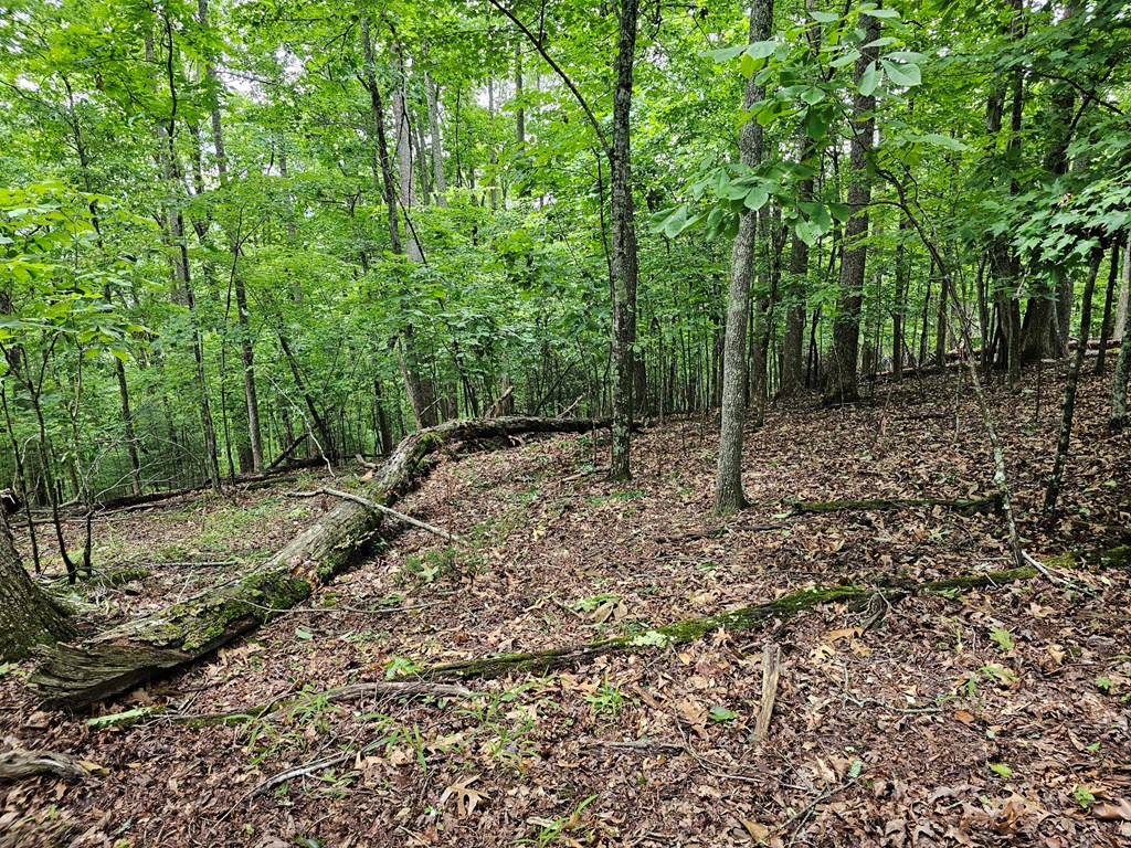 Lot 13-b Mountain Top Drive Property Photo 3