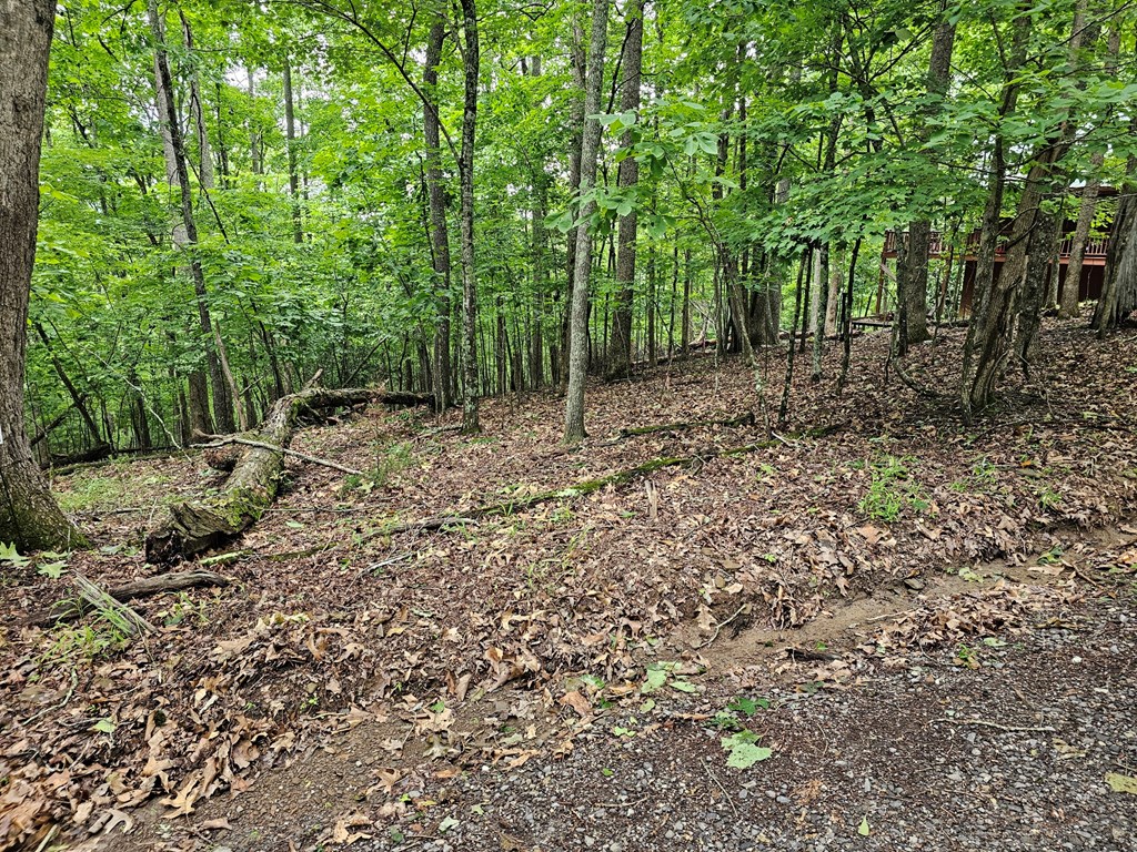 Lot 13-b Mountain Top Drive Property Photo 4