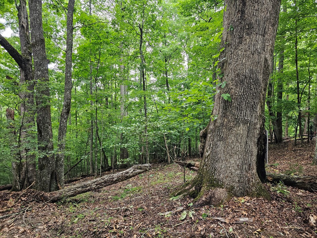 Lot 13-b Mountain Top Drive Property Photo 5