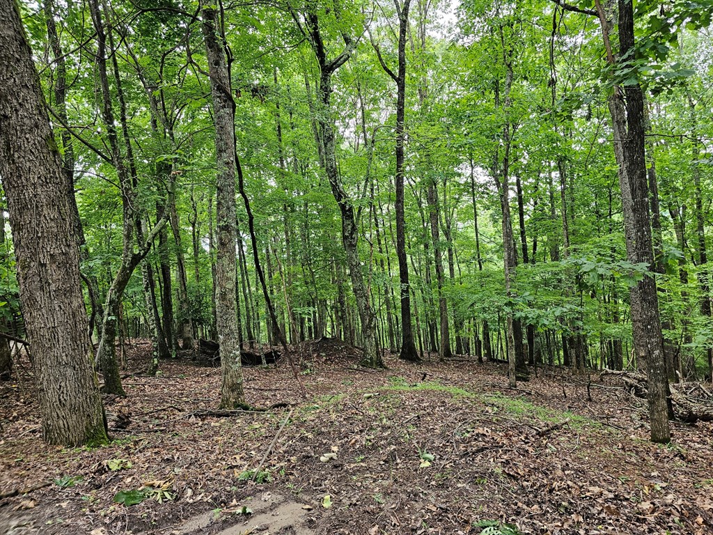 Lot 13-b Mountain Top Drive Property Photo 6