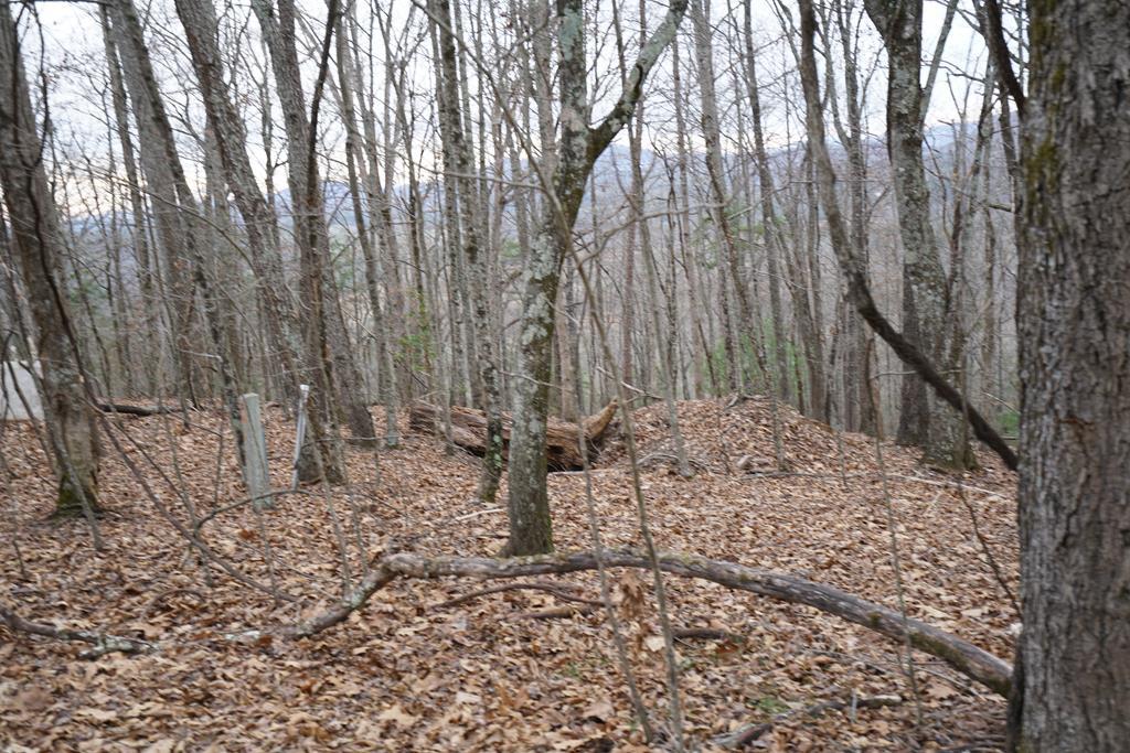 Lot 13-b Mountain Top Drive Property Photo 7