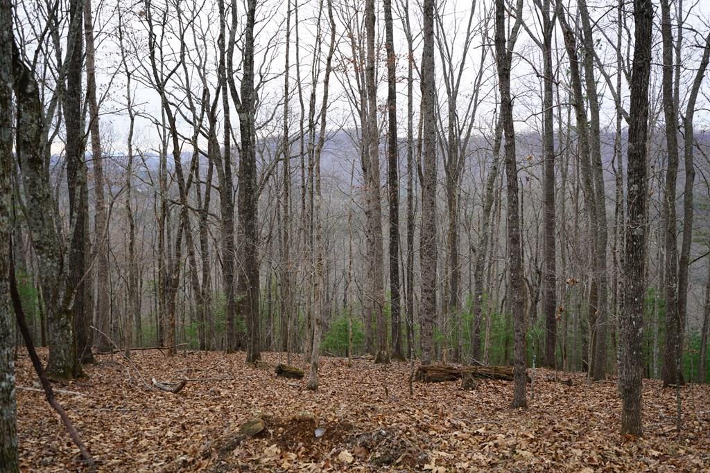 Lot 13-b Mountain Top Drive Property Photo 9