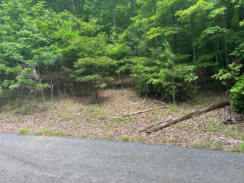 Lot 64 Cirrus Drive Property Photo 1