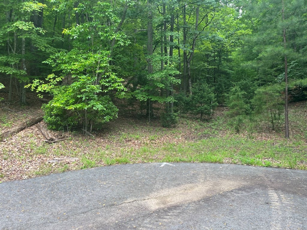Lot 64 Cirrus Drive Property Photo 2
