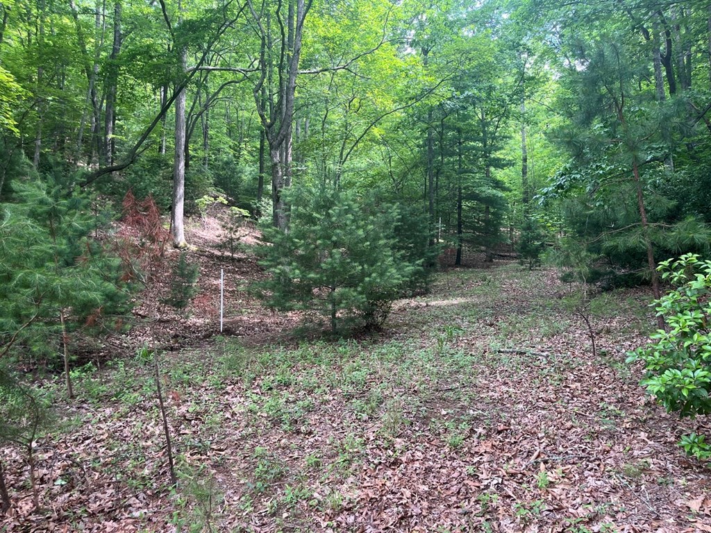 Lot 64 Cirrus Drive Property Photo 3