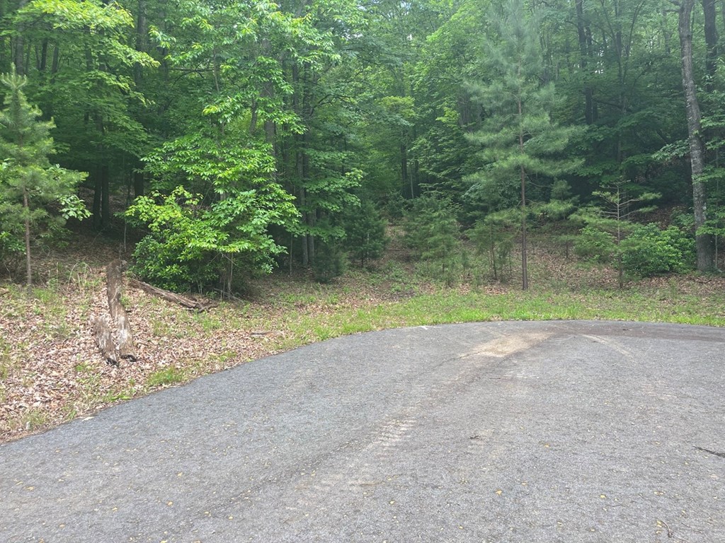 Lot 64 Cirrus Drive Property Photo 5