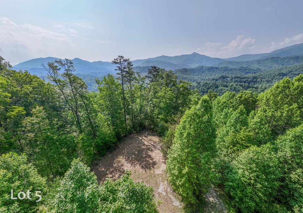 1200 Tobacco Branch Road Property Photo 1