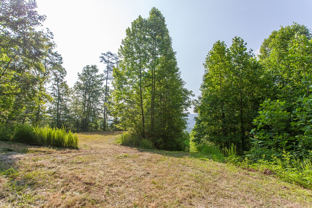 1200 Tobacco Branch Road Property Photo 2