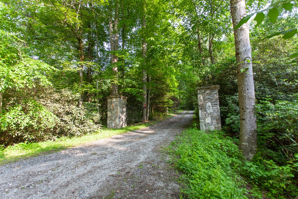 1200 Tobacco Branch Road Property Photo 3