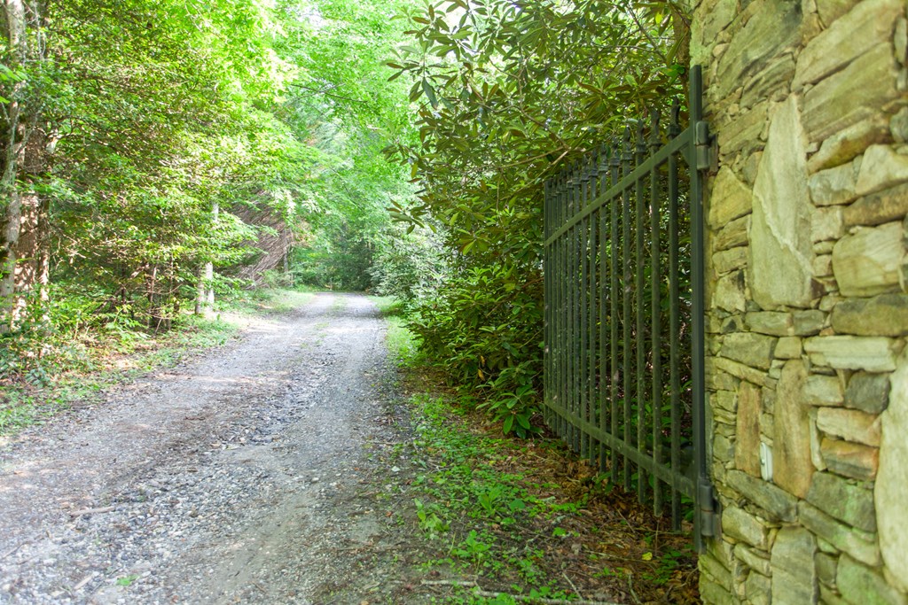 1200 Tobacco Branch Road Property Photo 5