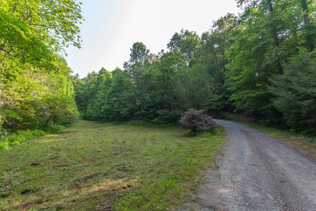 1200 Tobacco Branch Road Property Photo 6