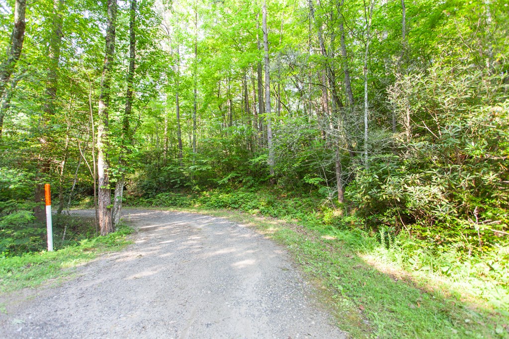 1200 Tobacco Branch Road Property Photo 7