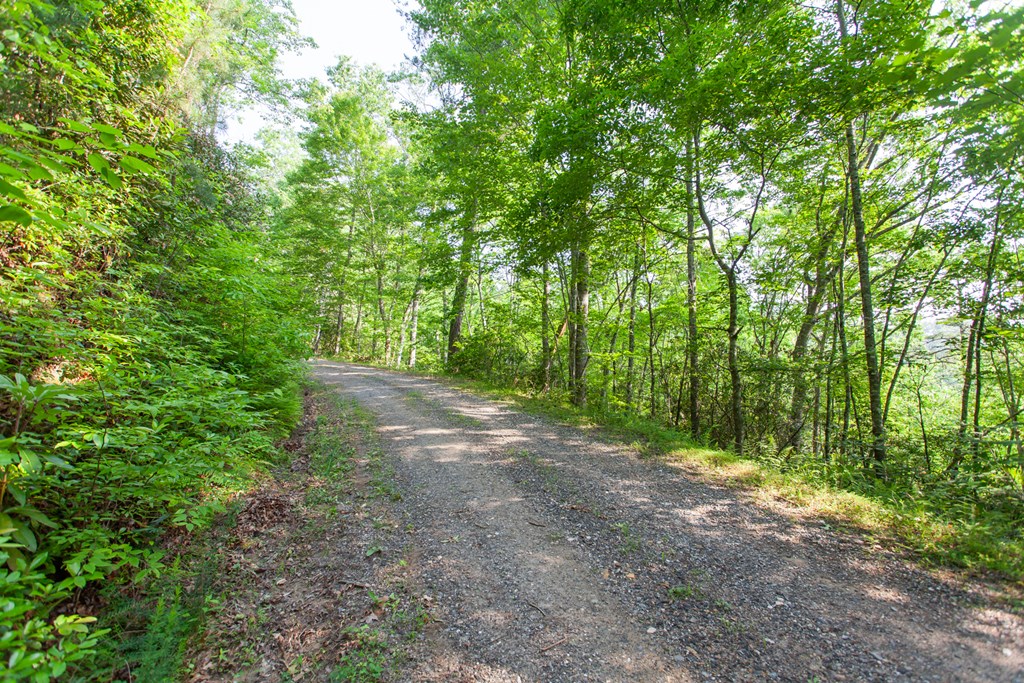 1200 Tobacco Branch Road Property Photo 8