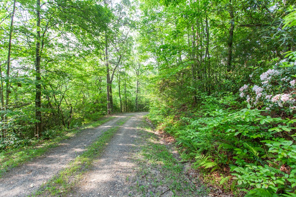 1200 Tobacco Branch Road Property Photo 9