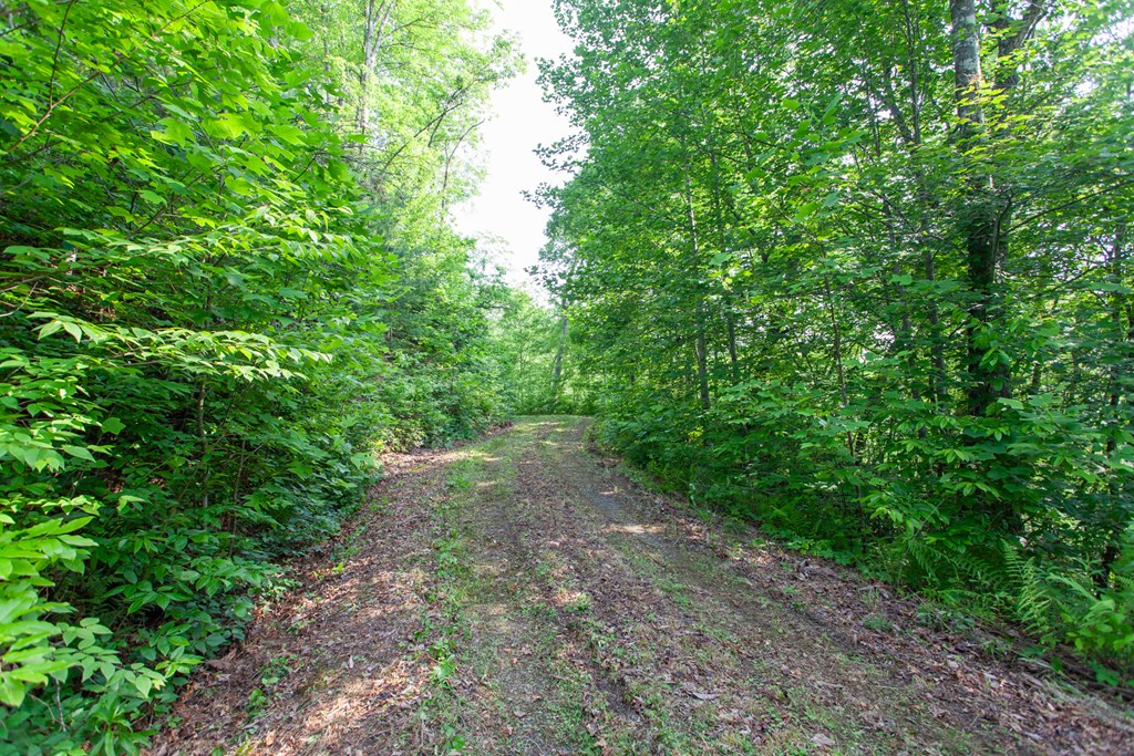 1200 Tobacco Branch Road Property Photo 10