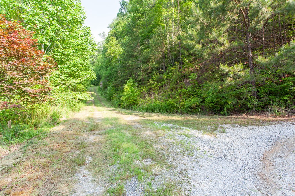 1200 Tobacco Branch Road Property Photo 11