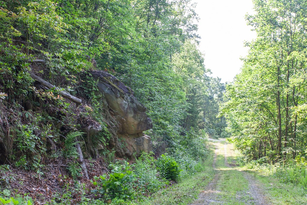 1200 Tobacco Branch Road Property Photo 12