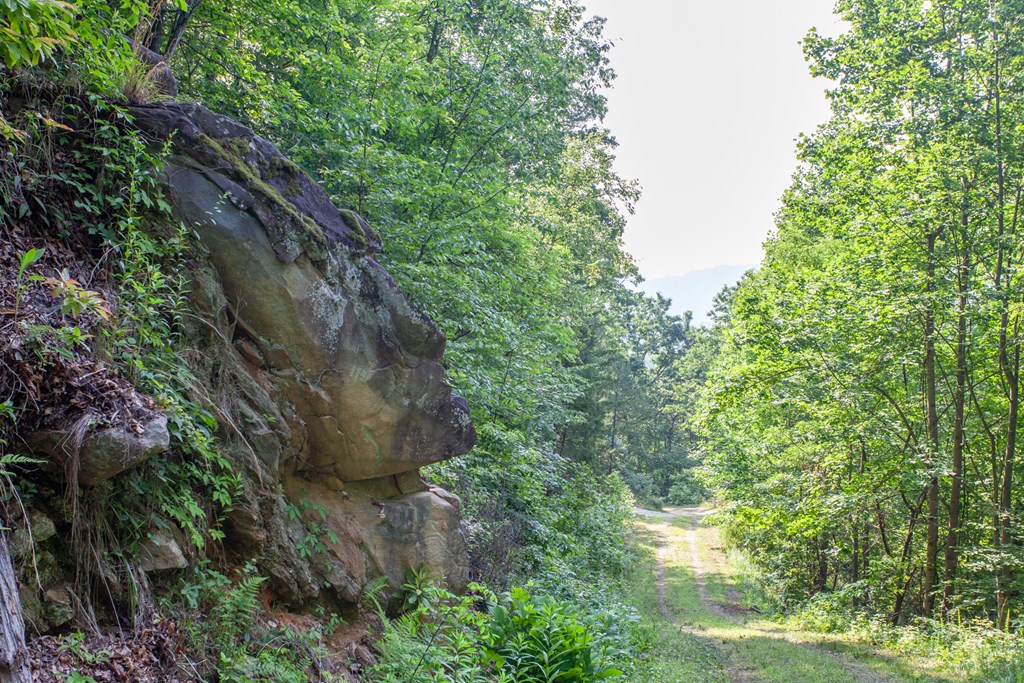 1200 Tobacco Branch Road Property Photo 13