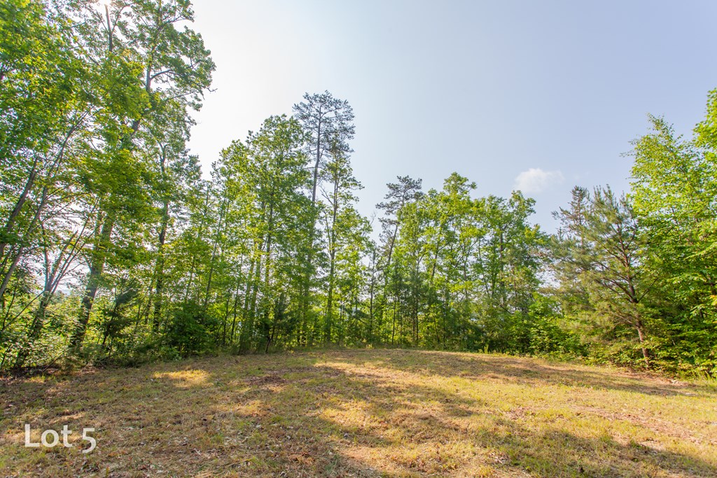 1200 Tobacco Branch Road Property Photo 16