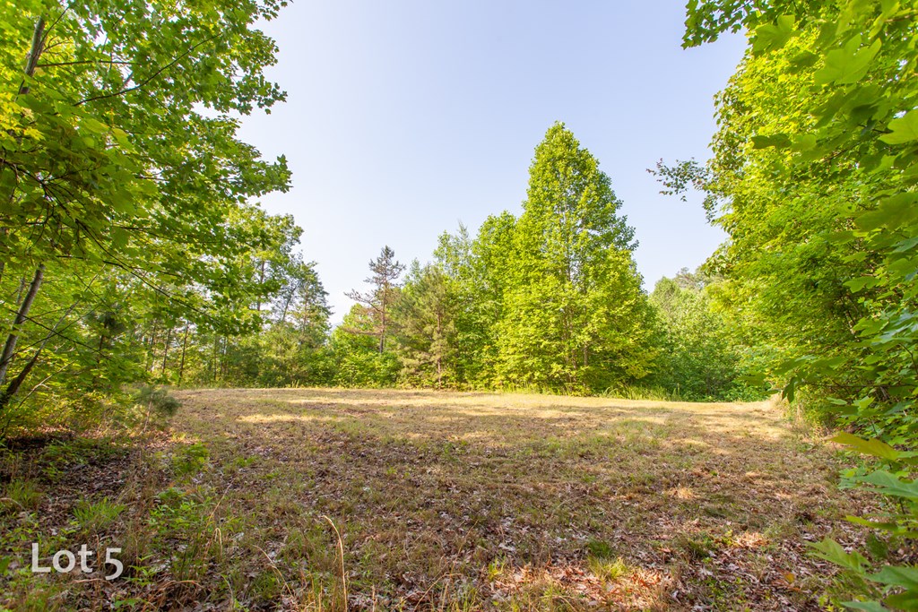 1200 Tobacco Branch Road Property Photo 17