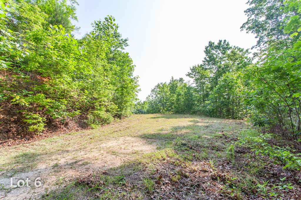 1200 Tobacco Branch Road Property Photo 18