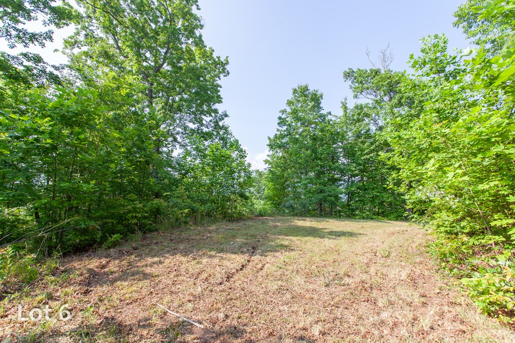 1200 Tobacco Branch Road Property Photo 19