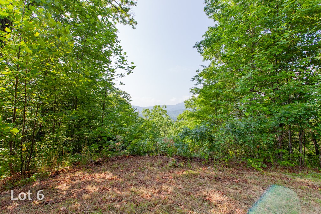 1200 Tobacco Branch Road Property Photo 20
