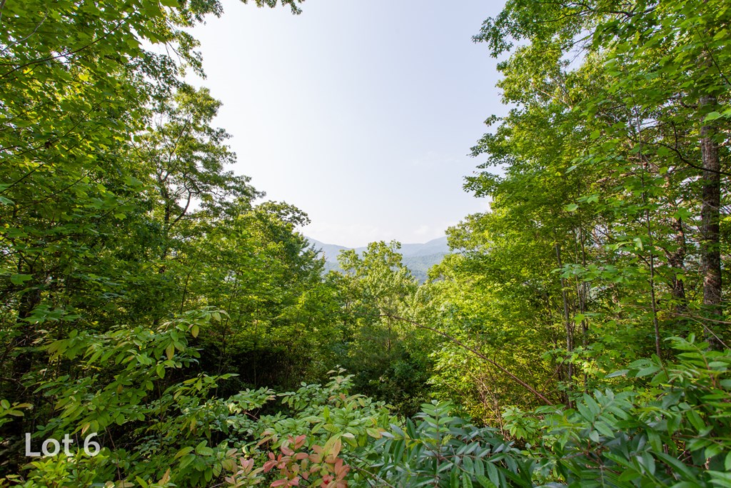 1200 Tobacco Branch Road Property Photo 21