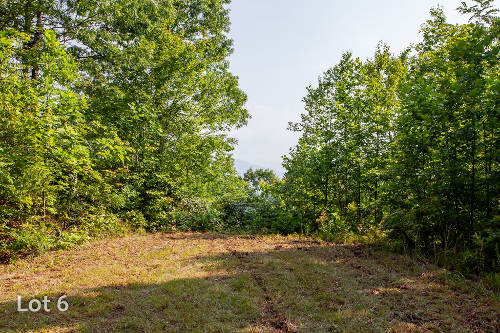 1200 Tobacco Branch Road Property Photo 22
