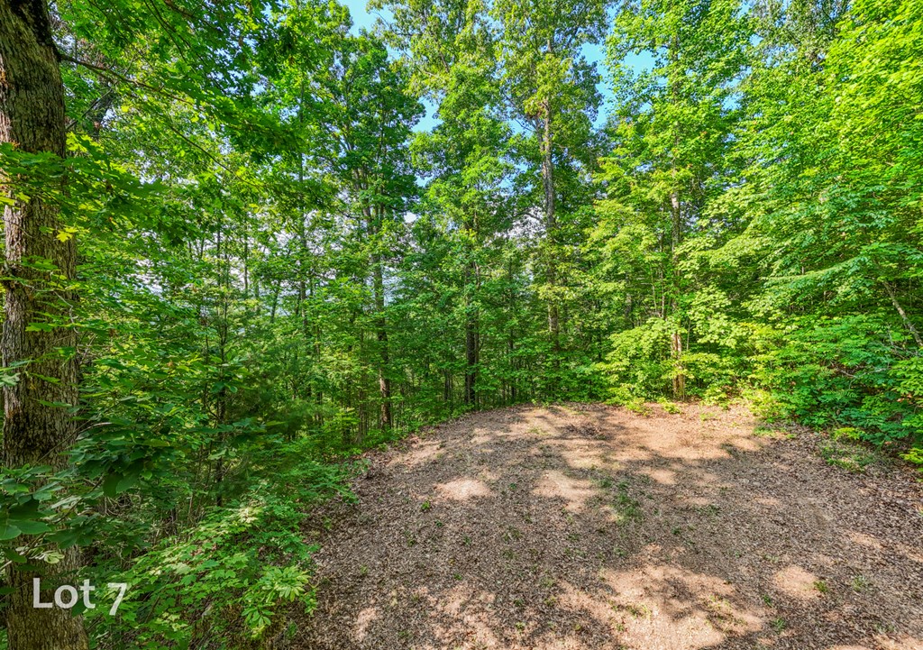 1200 Tobacco Branch Road Property Photo 23