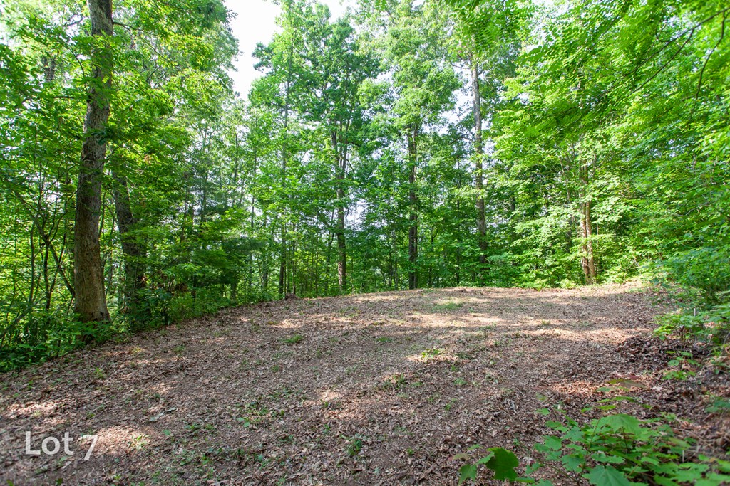 1200 Tobacco Branch Road Property Photo 24