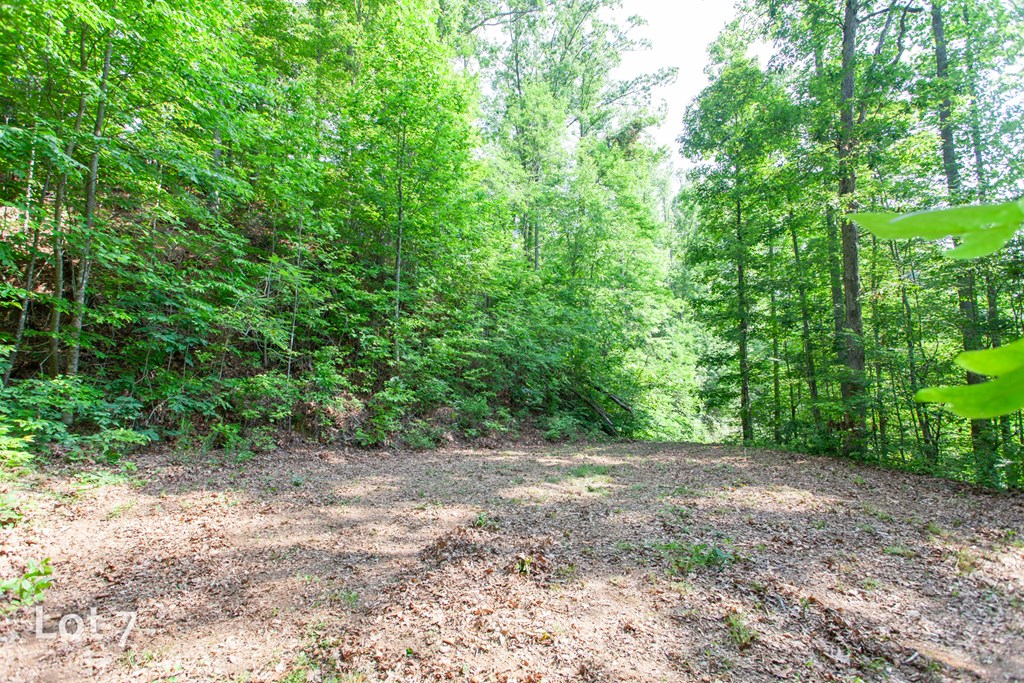 1200 Tobacco Branch Road Property Photo 25