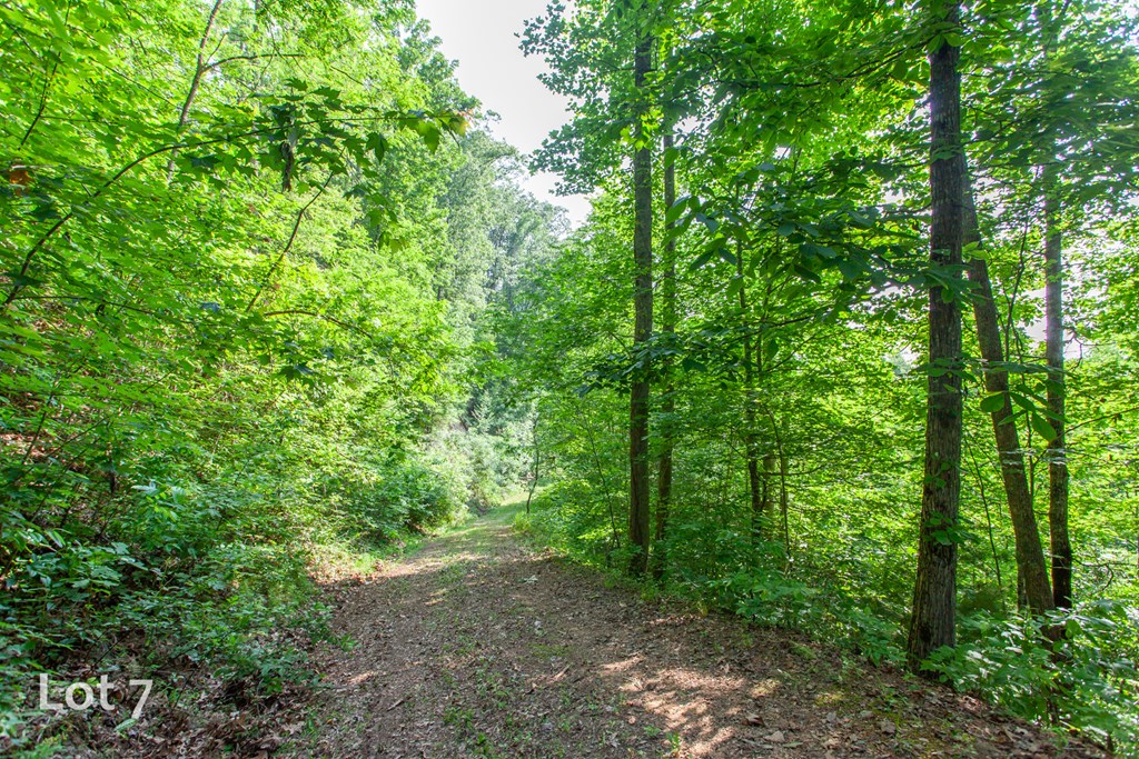 1200 Tobacco Branch Road Property Photo 26