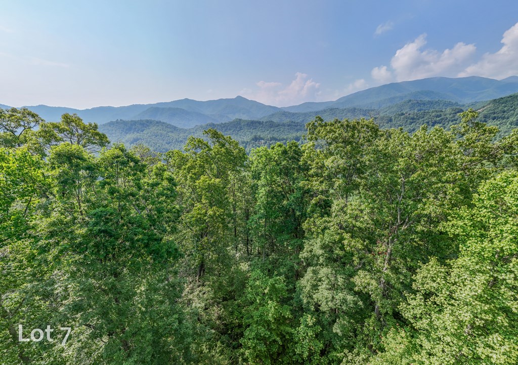 1200 Tobacco Branch Road Property Photo 27