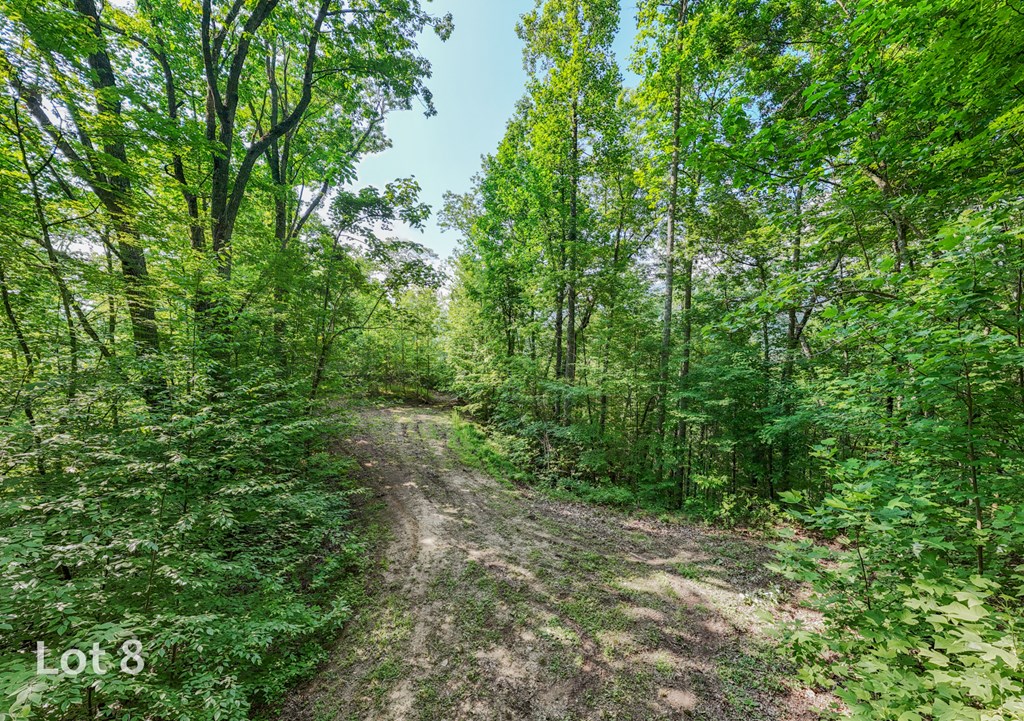 1200 Tobacco Branch Road Property Photo 28