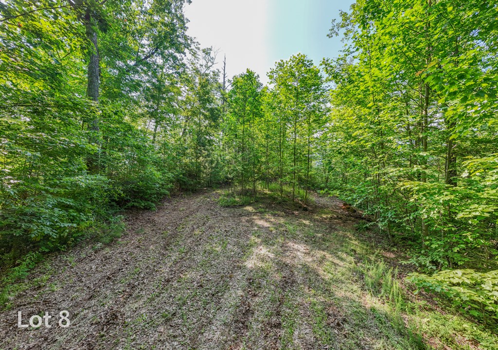 1200 Tobacco Branch Road Property Photo 29