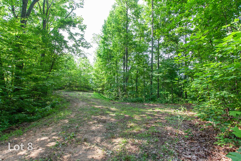 1200 Tobacco Branch Road Property Photo 30