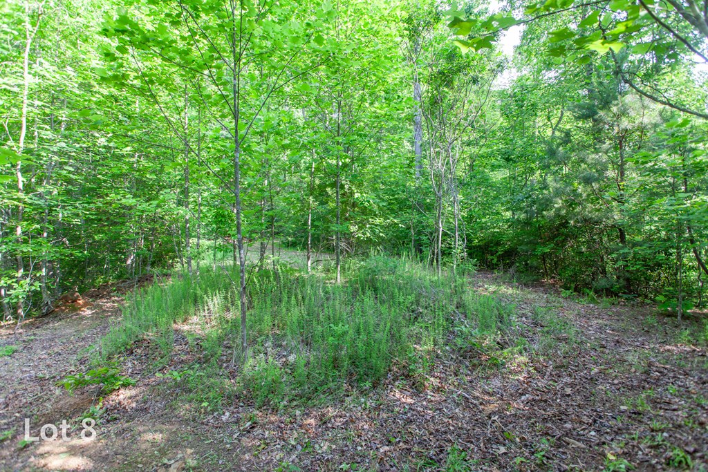 1200 Tobacco Branch Road Property Photo 31