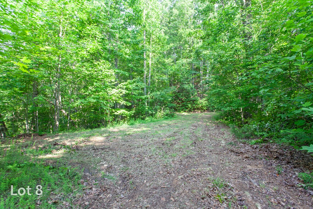 1200 Tobacco Branch Road Property Photo 32