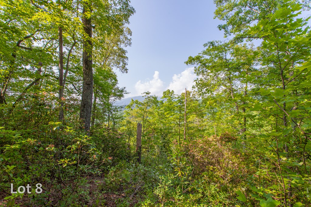 1200 Tobacco Branch Road Property Photo 33
