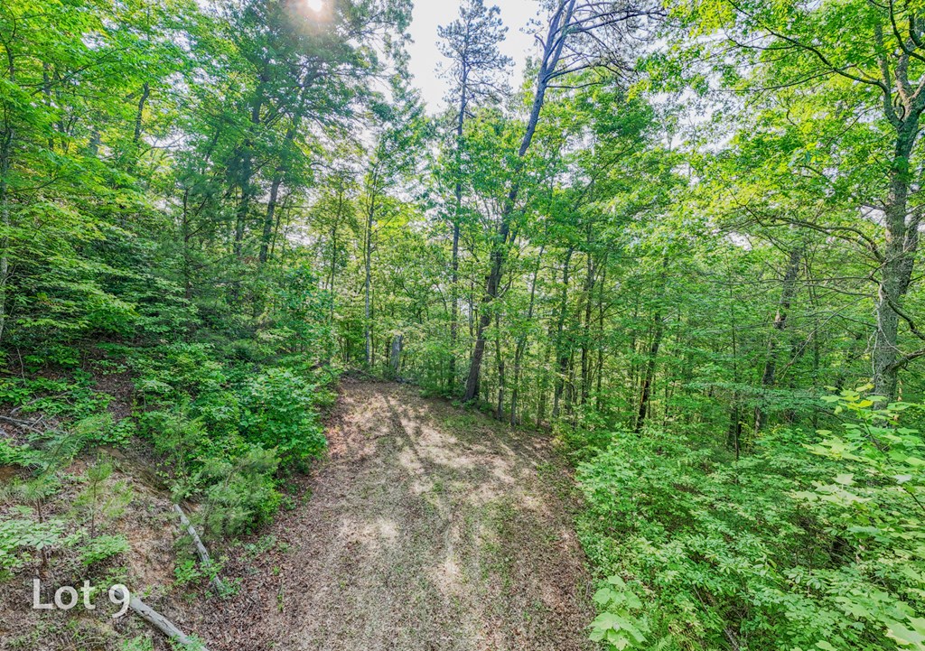 1200 Tobacco Branch Road Property Photo 34