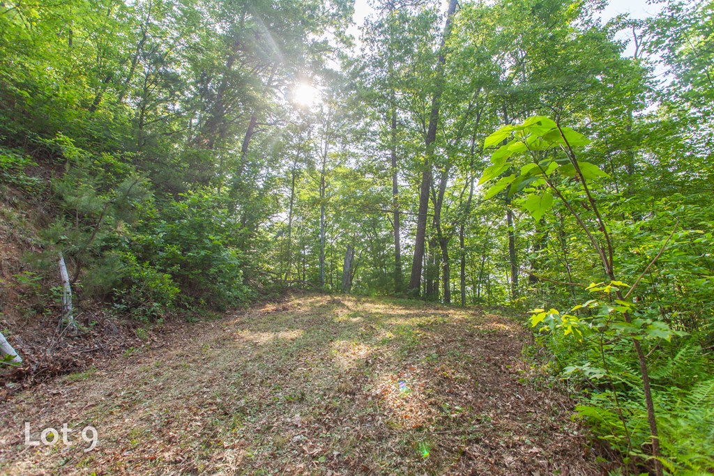 1200 Tobacco Branch Road Property Photo 35