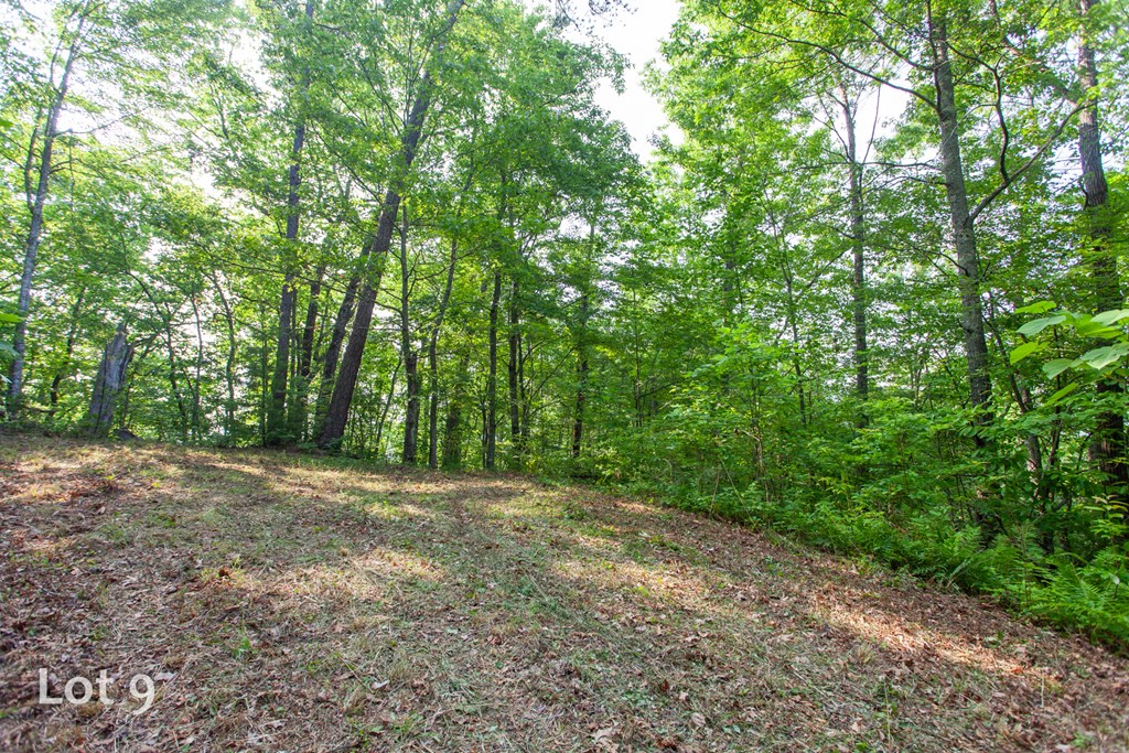 1200 Tobacco Branch Road Property Photo 36