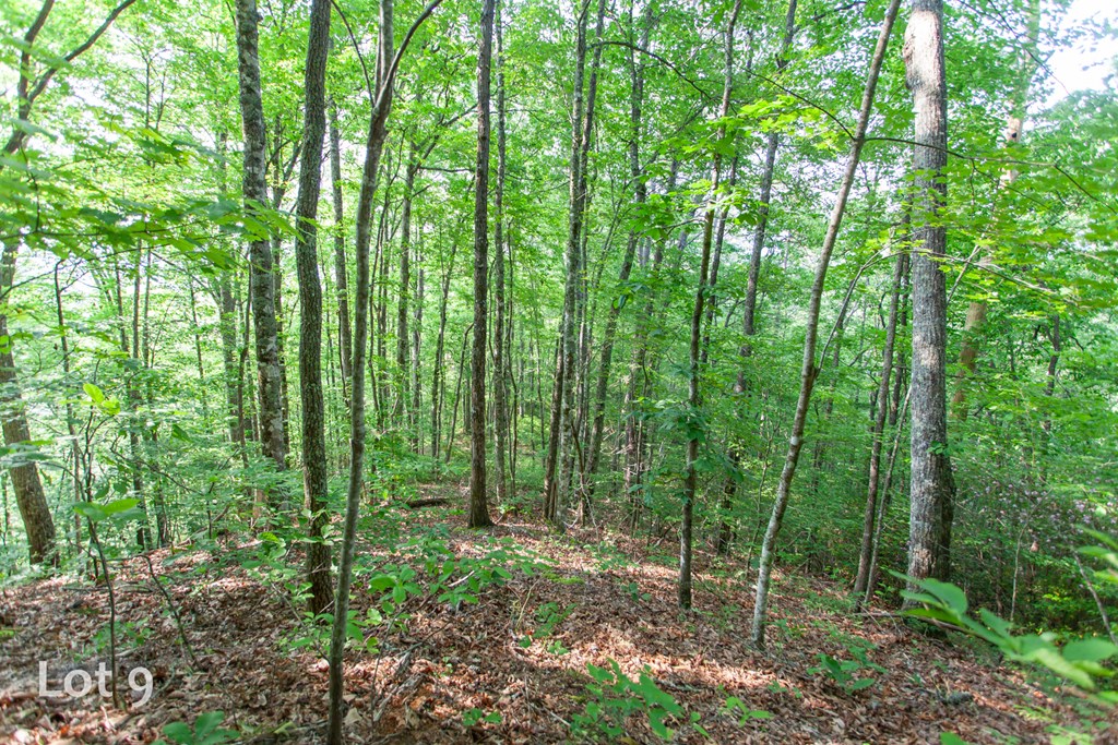 1200 Tobacco Branch Road Property Photo 37